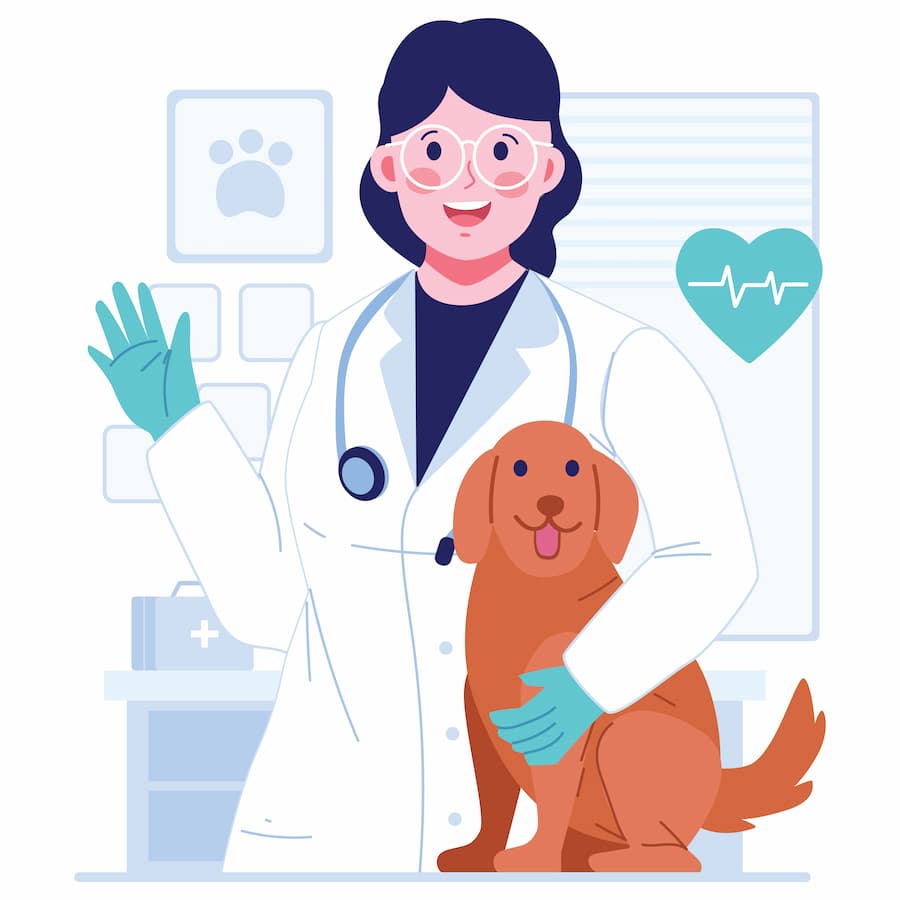 Hundekrankenversicherung Kosten Infos & Vergleich