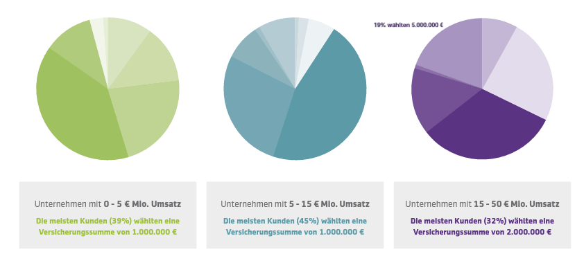 Infografik richtige höhe der Versicherungssumme D&O Versicherung